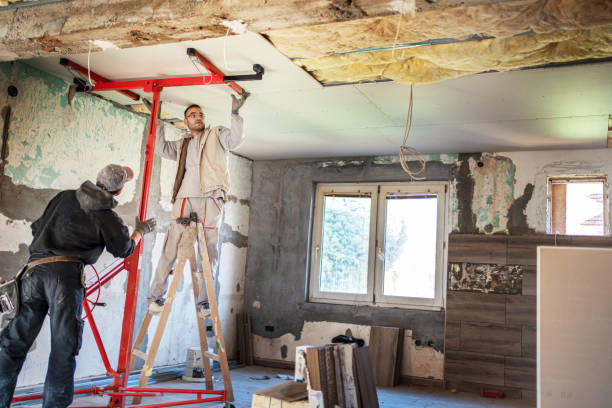 Best Insulation Installation Services in Jesup, IA