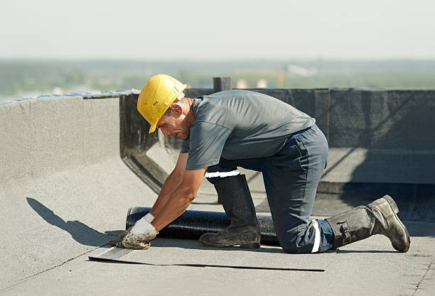 Best Residential Insulation in Jesup, IA