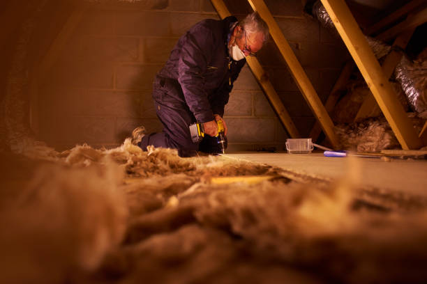 Best Insulation Installation Services in Jesup, IA